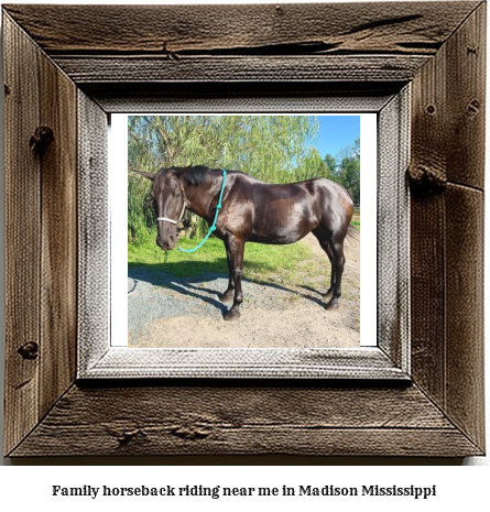 family horseback riding near me in Madison, Mississippi